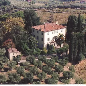 Pedone Lucca